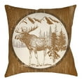 thumbnail image 6 of Indoor Outdoor LGCB2025-2222 Square 22" x 22" Pillow Cover + Polyfill, 6 of 7
