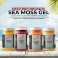 thumbnail image 5 of Blessed Sea Moss Gel - (Berries Mango Pineapple) Superfood Rich in Vitamins & Minerals, 5 of 6