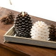 thumbnail image 3 of Pavilion Gift Company White 4.25 Inch Pinecone LED-Lit Battery Operated Realistic Flame Candle Made from Real Wax, 3 of 8