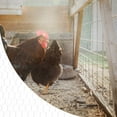 thumbnail image 4 of Chicken Wire Fencing Poultry Wire Mesh Fence Yard Garden Crafting Decor, 4 of 8