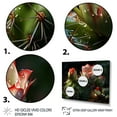 thumbnail image 3 of Designart "Green Red Cactus landscape" Floral Floater Framed Wall Art Living Room, 3 of 7
