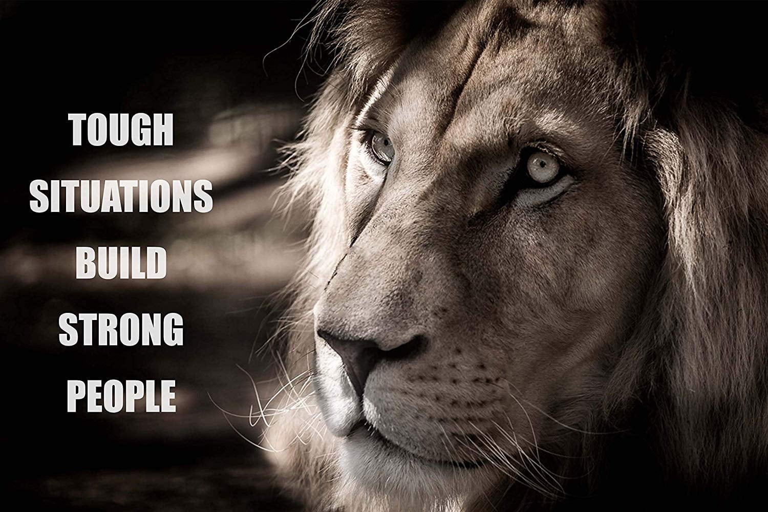 Inspirational Motivational Hot 24x36 27x40IN T-201 Art Poster Lion Osho Quotes 