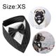 thumbnail image 2 of Bandana de boda para perro, collar para perro con pajarita, disfraz de cumpleaños, esmoquin ajustable para fiesta de mascotas, rayas negras, 2 of 5