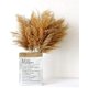thumbnail image 2 of 10 piezas de hierba de pampa, 60 cm, caña natural, flores secas, jarrones de flores secas, decoración, ramo grande seco, hierba, ramo de ceremonia de flores de boda, 2 of 5