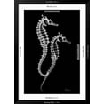 thumbnail image 5 of Art.com Sea Horse Xray Art Print by Albert Koetsier, Black Frame Wall Art, 32" x 44", 5 of 5