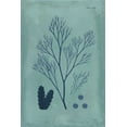 thumbnail image 2 of Vision Studio 17x24 Black Ornate Wood Framed with Double Matting Museum Art Print Titled - Indigo and Azure Seaweed V, 2 of 4