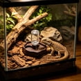 thumbnail image 5 of Automatic Water Dispenser, Plastic Gravity Fed Waterer for Tortoises, Lizards, Chickens, and Small Pets, 5 of 6