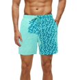 thumbnail image 1 of Pantalones cortos de playa para hombre, bañadores cortos con cambio de Color mágico, traje de baño de verano, pantalones cortos de secado rápido 14XL, 1 of 5
