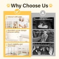 thumbnail image 5 of Clear Acrylic Plastic Dog Playpen Indoor, for Puppy Cat Rabbit Ferret Transparent Pet Pen, Easy Assemble Whelping Crate Kennel Cage Enclosure, Preferable for Small Dogs (29.5“ Height, 10Pcs, White), 5 of 8