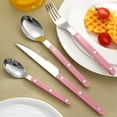 thumbnail image 3 of Rivet ABS Faux Wood Handle Silverware Set - 6-Piece Stainless Steel Flatware with Steak Knife, Fork, Spoon, Teaspoon, Dessert Fork and Butter Knife - Elegant Tableware Cutlery for Dining (Pink), 3 of 6