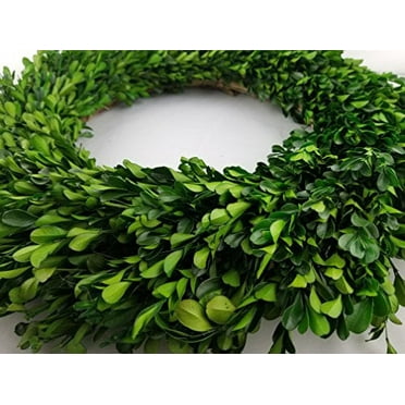 Tradingsmith Preserved Boxwood Wreath - 17"