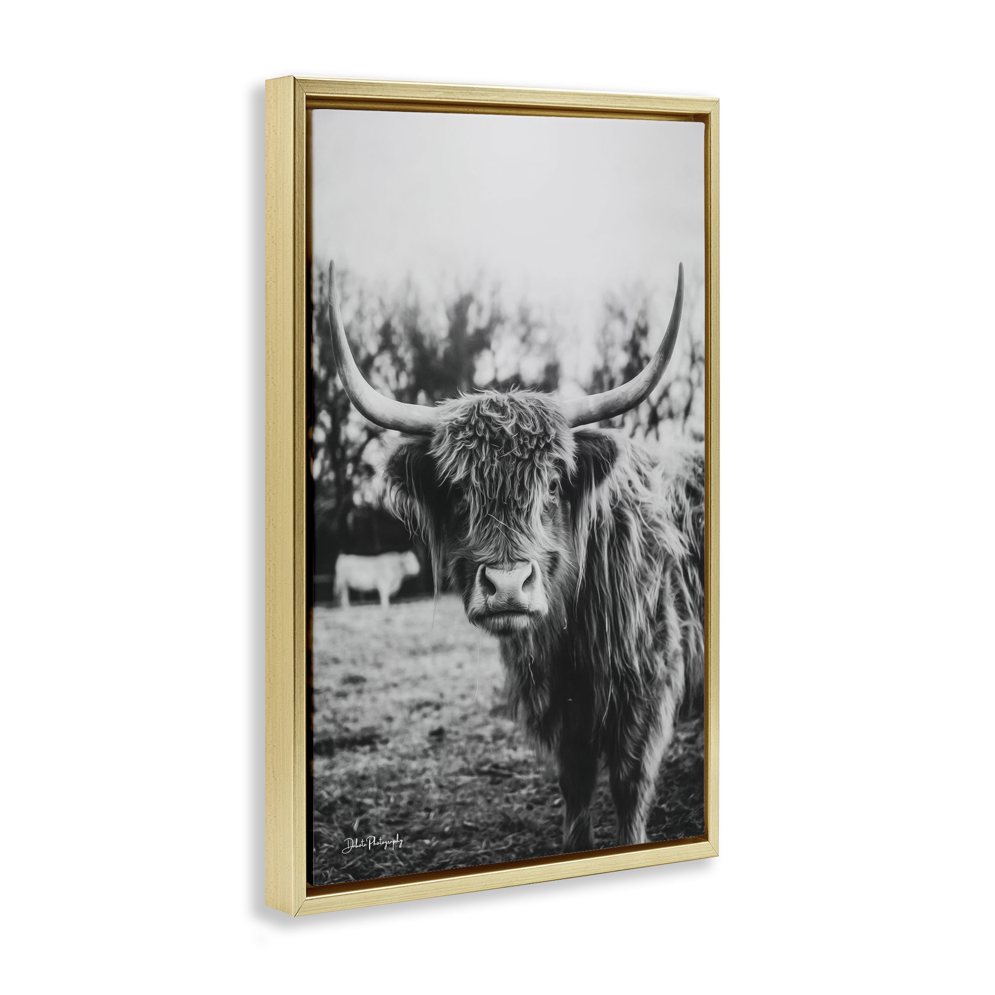 Stupell Industries Peering Highland Cattle Gold Framed Floater Canvas Wall Art, design by Dakota Diener