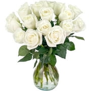 18 White Roses | Fresh Flower Bouquet with Vase | Designed by | Flowers for Mother's Day, Birthday, Anniversary, Get Well, Just Because, Sympathy, Romance, Congratulations