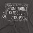 thumbnail image 2 of Harry Potter Teaspoon Women's T Shirt, Charcoal, X-Large, 2 of 6