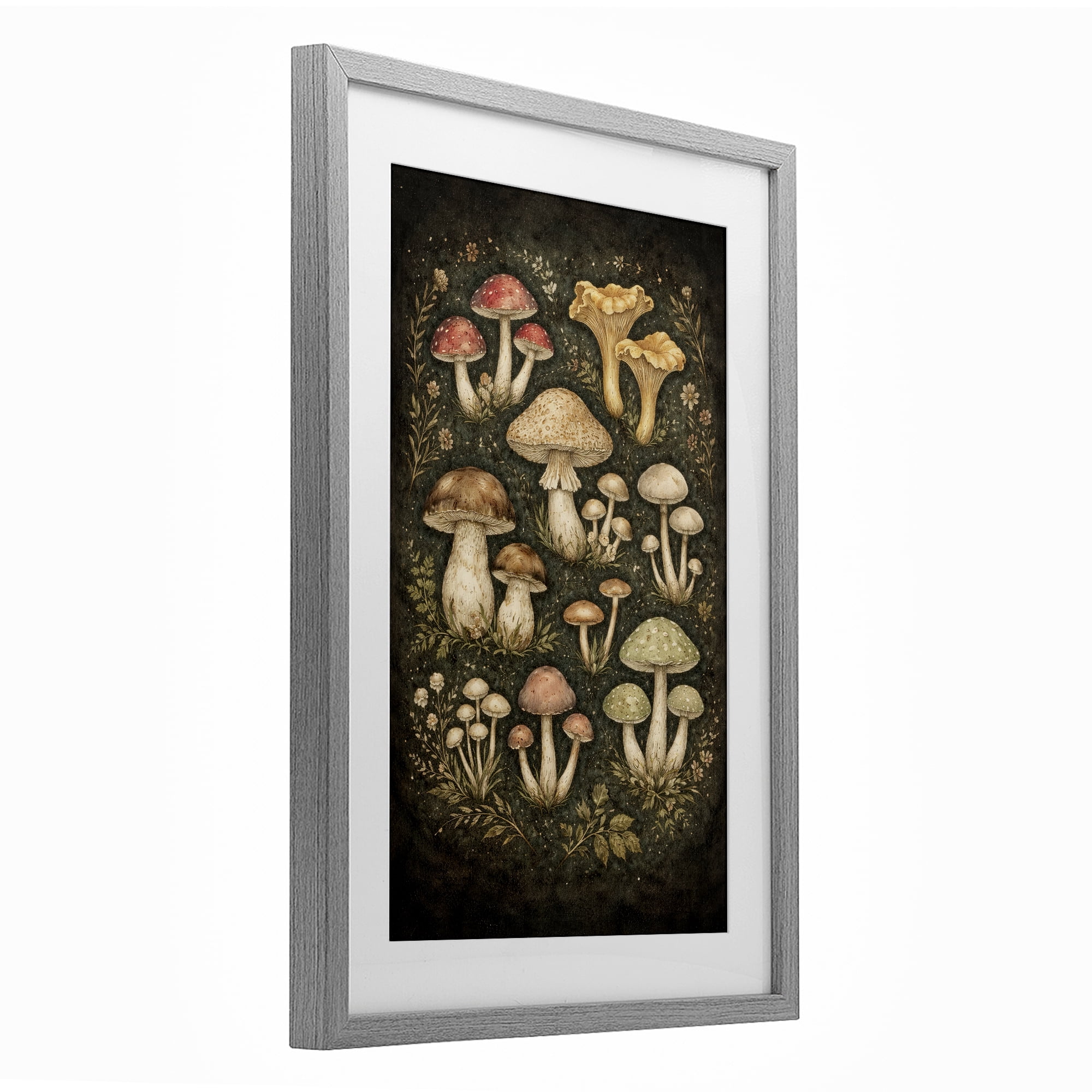 Stupell Industries Organic Sprouting Mushrooms Gray Framed Print Under Glass, design by Tom Crehan