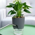 thumbnail image 5 of Dream Lifestyle 2 Tier Self Watering Planters,Self Watering Pots Planters with Wick Rope for Indoor Plants Wicking Pots,Modern Decorative Planter Pot for African Violets,Succulents, 5 of 8