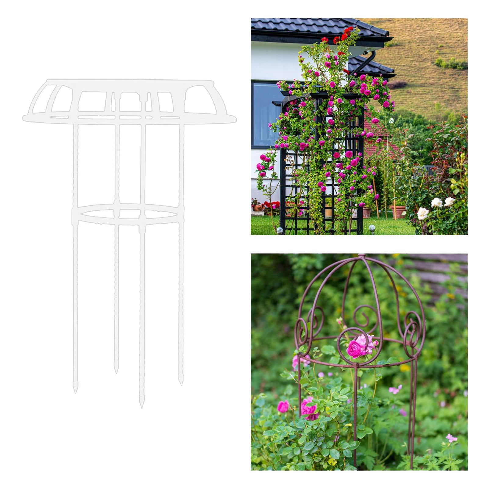 figatia Garden Trellis Plant Support Trellis Decorative Sturdy Tomato Cage,Metal Plant Trellis for Flowers Vines Cucumbers Vegetables 75x50cm
