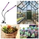 thumbnail image 5 of Lámpara LED de espectro completo con clip para el crecimiento de plantas, ideal para el cultivo de suculentas verdes, 100-240 V (45 W), 5 of 5