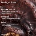 thumbnail image 4 of Crema hidratante Youth To The People Adaptogen reparadora de la piel, 4 of 9