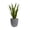 Mediterranean Gray, variant on STONE LITE Concrete-look 12.2" x 12.2" x 12.4" Egg-Shape Gray Plastic Plant Pot with Has Drainage