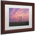 thumbnail image 2 of Trademark Fine Art "Marsh Reeds" Canvas Art by Michael Blanchette Photography White Matte, Wood Frame, 2 of 4