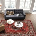 thumbnail image 3 of Boho Area Rug 4x7 Ft Red Vintage Floral Geometric Washable Area Rugs Oriental Medallion Stain Resistant Floor Carpet Non Shedding Non-Slip Indoor Mats for Living Room Bedroom, 3 of 7