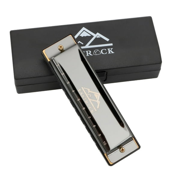 EASTROCK 10 Holes Key of C Blues Harmonica for Beginner Students Professional Metal Blues Harp Mouth Organ with Case Black