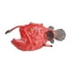 thumbnail image 3 of Figura de rape, modelo de marino, proyectos escolares, juego de simulación, modelo de marina, animal oceánico, juguete para niños y, 3 of 9