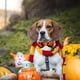 thumbnail image 4 of 4 piezas de decoración de Halloween para mascotas, suministros de Halloween para mascotas, collar de pajarita para perro y gato, decoración de pajarita para Halloween, 4 of 5