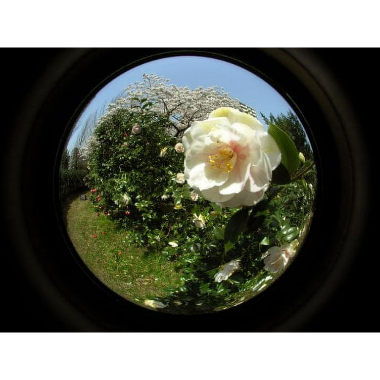 Raynox HDP-7880ES 0.79x 4K/HD Ultra Wide-Angle Conversion Lens