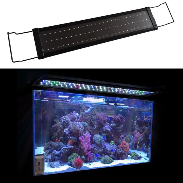 Soporte para acuarios Salvador luz del acuario 30cm 6W