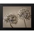 thumbnail image 2 of Frank, Assaf 14x12 Black Modern Framed Museum Art Print Titled - Two Allium flowers, 2 of 5