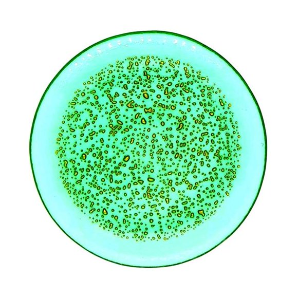 Red Pomegranate Collection 4960-6 7 in. Isla Canape Plates, Emerald & Gold - Set of 4