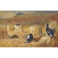 thumbnail image 2 of Archibald Thorburn 18x13 Black Ornate Wood Framed Double Matted Museum Art Print Titled - Blackcock in a Field, 2 of 5