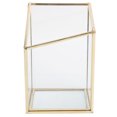 thumbnail image 3 of Glass Planter, Modern Multi-Functional Glass Flower Vases, Lightweight For Plant Cosmetics Flower Office Decor, 3 of 8