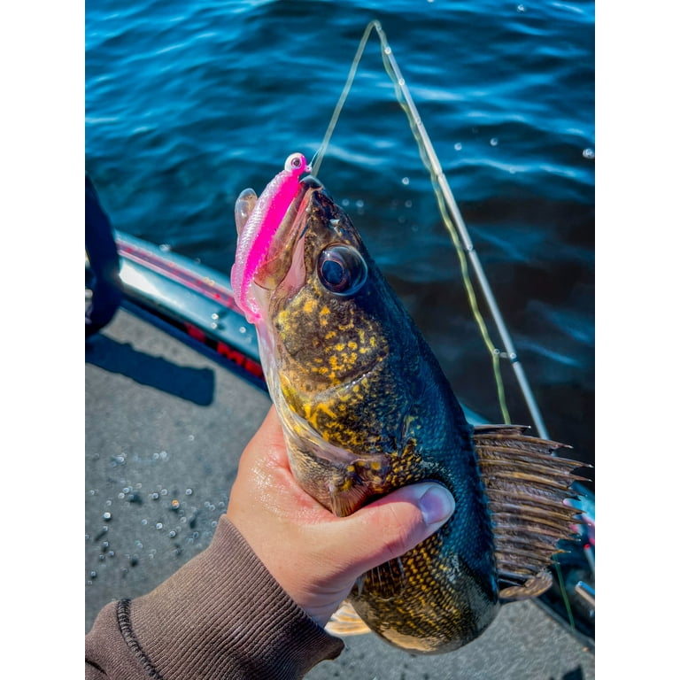 Jig Closeout Fishing Tackle Z-Man Midwest Finesse Swim Jig