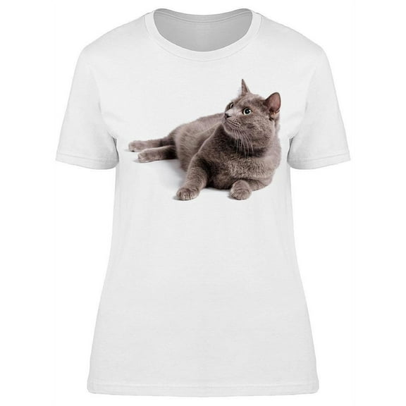 Gray Cat Dilated Pupils Laying T-Shirt Women -Image by Shutterstock, Female 3X-Large