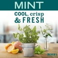 thumbnail image 2 of Mrs. Meyer's Clean Day Mint Multi-Surface Everyday Cleaner, 16 oz, 2 of 6
