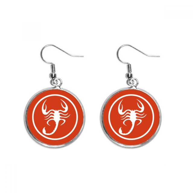 Boucles d'Oreilles Pendantes en Argent avec Cercle d'Insectes Naturels pour Femme