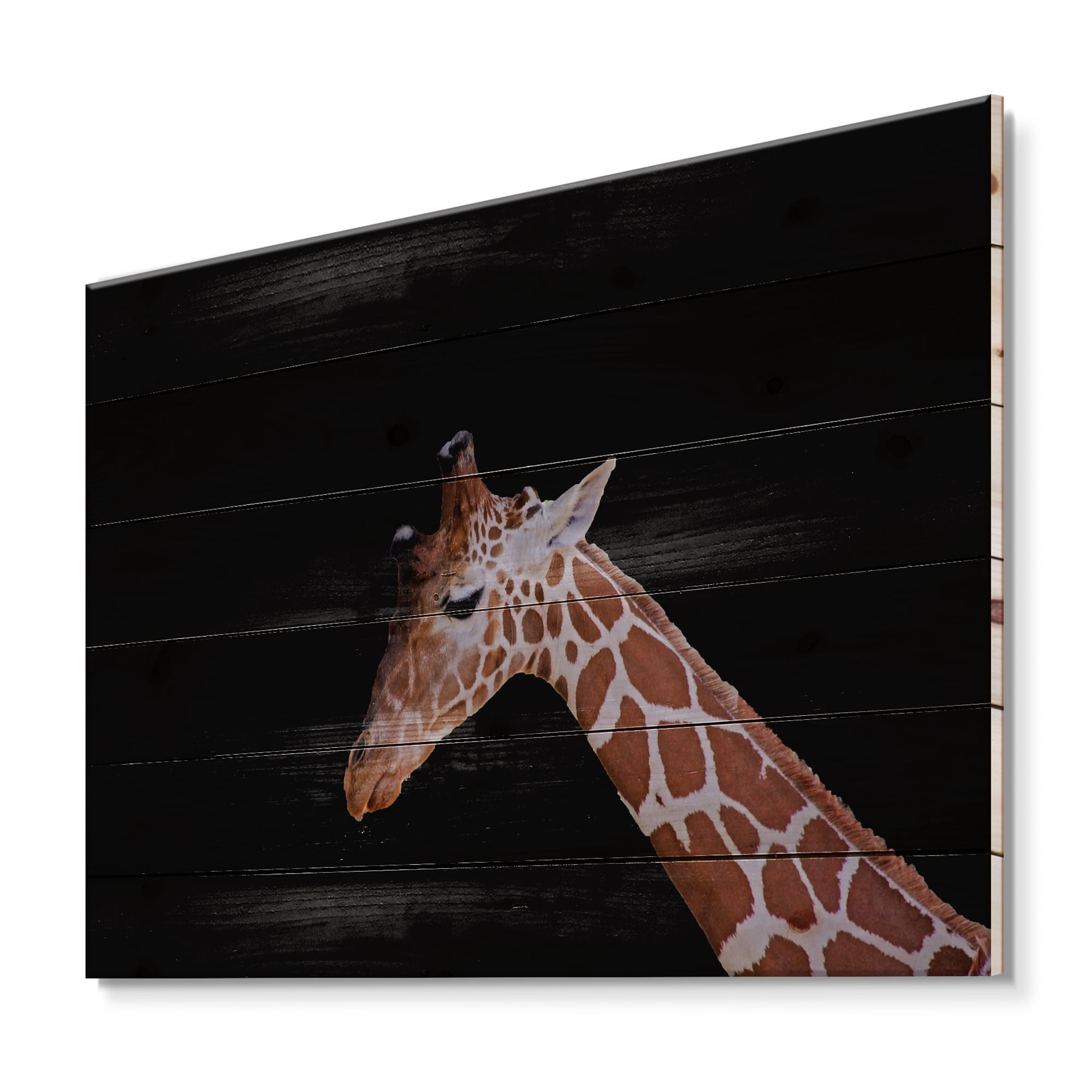 Designart 'Portrait of A Giraffe On Black Background I' Farmhouse Print on Natural Pine Wood