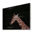 thumbnail image 2 of Designart 'Portrait of A Giraffe On Black Background I' Farmhouse Print on Natural Pine Wood, 2 of 5