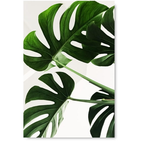 Awkward Styles Foliage Poster Green Grass Vintage Art Beautiful Nature Art Home Decor Ideas Natural Poster Art Plants Poster Decor for Kitchen Inspirational Plants Prints Inspirational Vinyl Art