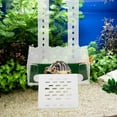 thumbnail image 4 of RUNROTOO Hanging Turtle Ramp Acrylic Simulation Turtle Platform for Aquarium Use and Pet Owners 1Set, 4 of 8