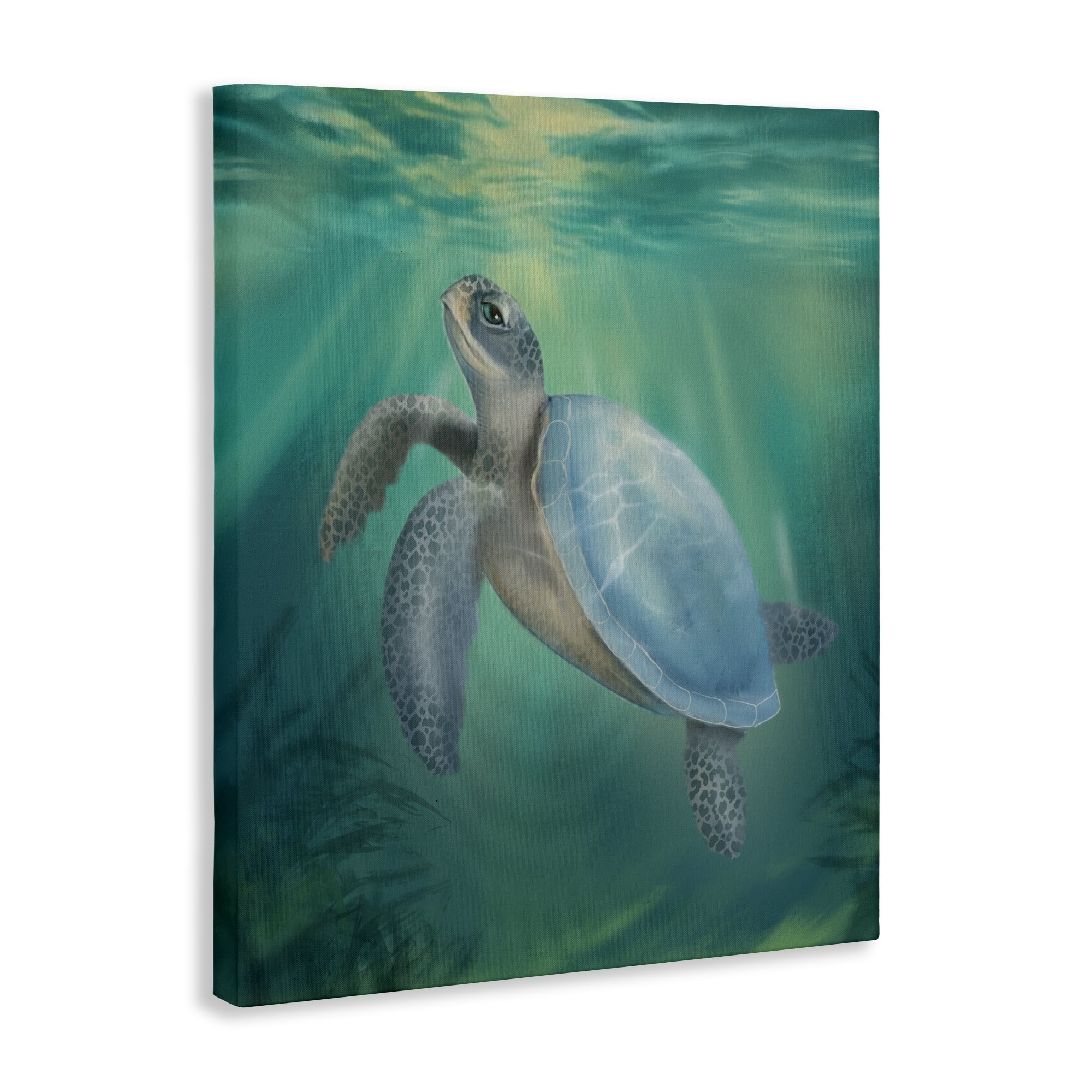 Stupell Industries Coastal Beach Sea Turtle Canvas Wall Art, design by Matthew Piotrowicz