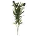 thumbnail image 1 of Shisuyan 5pcs Artificial Olive Branches: 15.7” Tall Artificial Plants Olive Tree Branches Pick For Vase Tabletop Greenery Decorations, 1 of 8