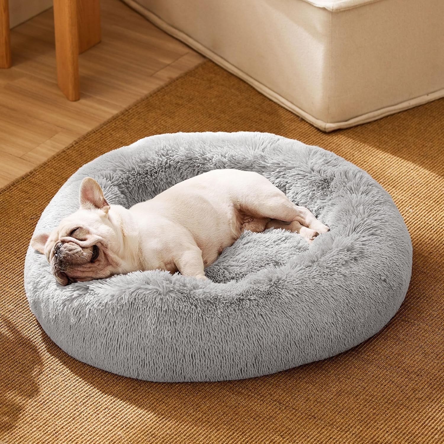 Dog and Cat Bed