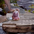 thumbnail image 4 of 8-Piece Field Dressing Kit Hunt Processing Portable Butcher Game Processor Set with Gloves, 4 of 7