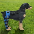 thumbnail image 2 of Dog Knee Brace Adjustable Dog Double Rear Leg Brace with Metal Hinged Flexible Support and Reflective Seat Belts(Blue) - L, 2 of 6