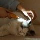 thumbnail image 2 of Cortaúñas para mascotas, cortauñas eléctrico multiusos y eficiente para el cuidado de perros con luz LED para perros, gatos y mascotas, 2 of 5