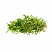 Proflora Preserved Forest Moss, True Green, 320 CU in